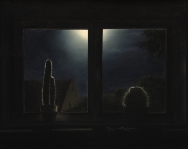 Kaktus im Fenster