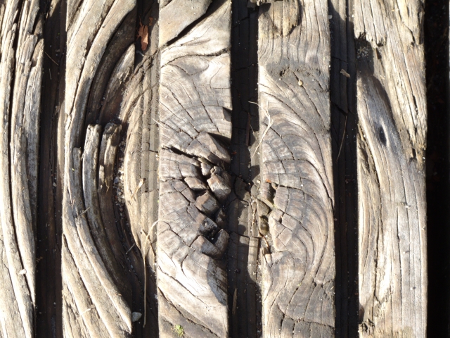 Holz 23