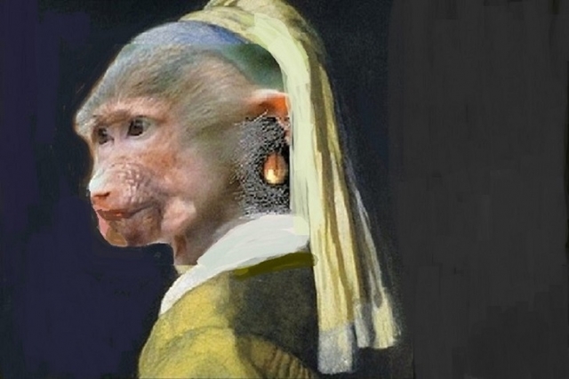 Die Dame mit dem Perlohrenring