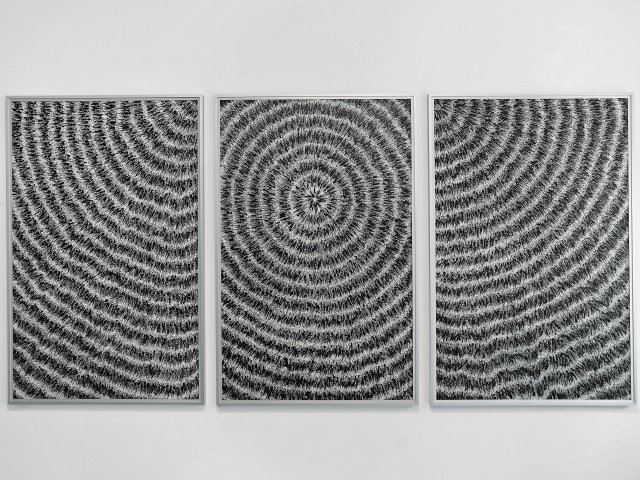 "Holy Spirit" ( Triptychon, Tuschfederzeichnung, 100 x 205 cm ) Aus der Serie "Geordnetes Chaos.