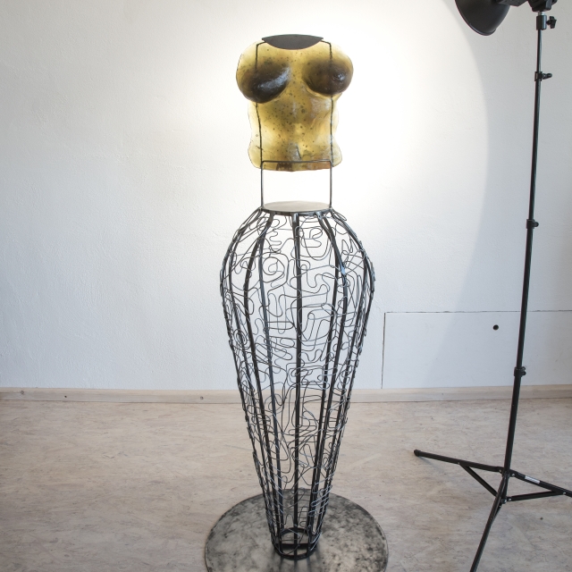 Torso