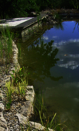 Wasserbild