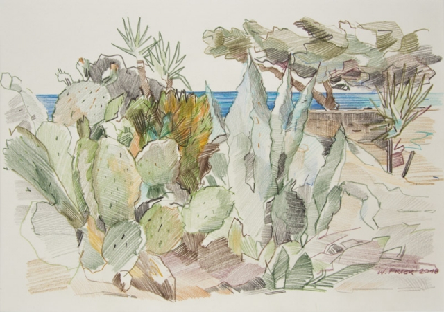 Kakteen (Tinos, 2018)